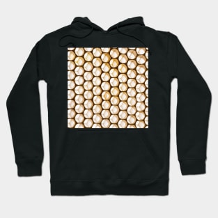 Honey Combs up close picture bees Hoodie